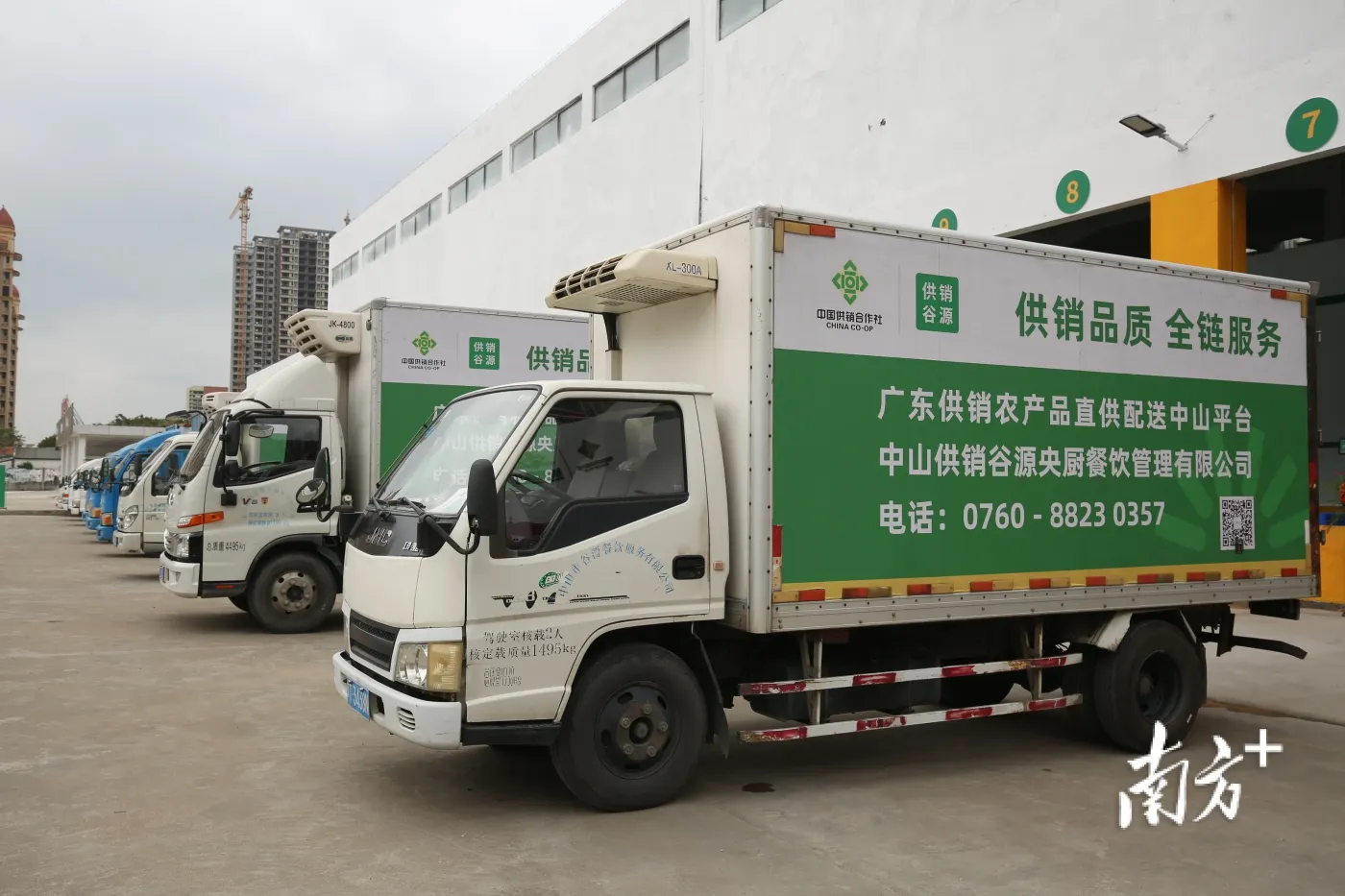 杂粮批发行业的新趋势与挑战